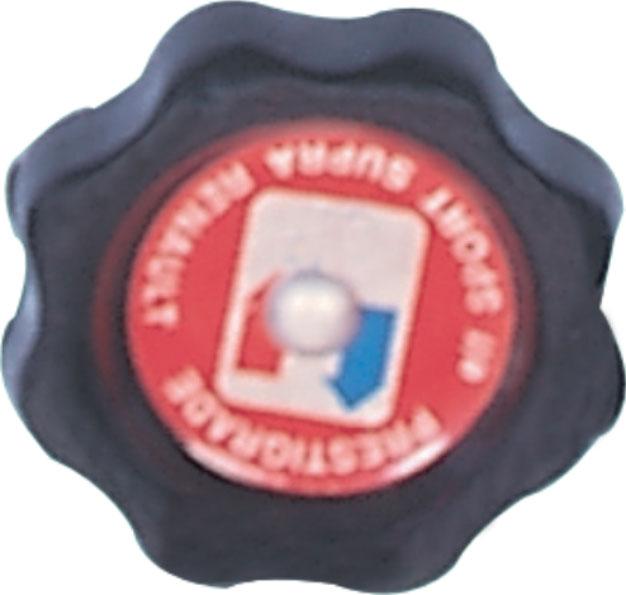 MOTOR YAG KAPAGI R.12 - KAYA - OEM 7700644083