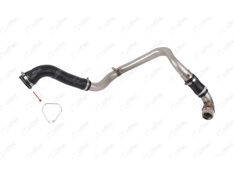 TURBO BORUSU SEKMANI MEGANE III SCENIC III 2.0 DCI TCE F4R M9R - NIFEA - OEM 7701071319