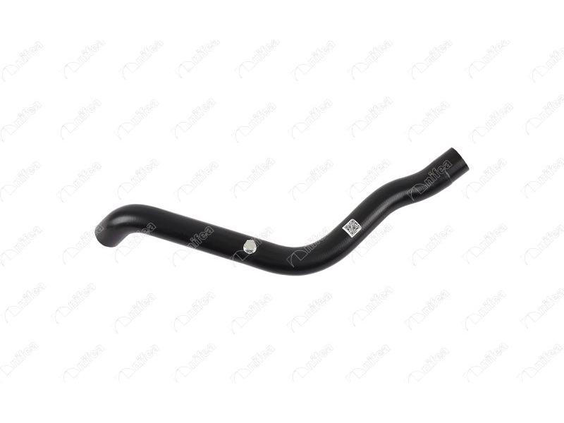 RADYATOR UST HORTUMU CLIO 1.9 D 94=> (F8QB57L) - NIFEA - OEM 7700824034
