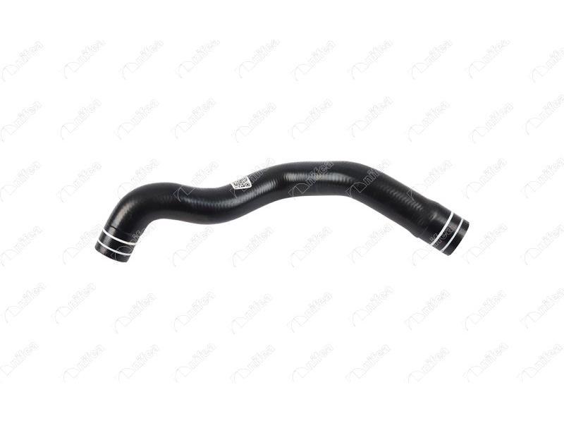 RADYATOR UST HORTUMU PALIO 1.2 05=> - NIFEA - OEM 51774737