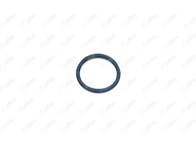 EMME MANIFOLD CONTASI DUCATO 2.2 D MONDEO III JUMPER TRANSIT BOXER - NIFEA - OEM 2S7Q6P077AA