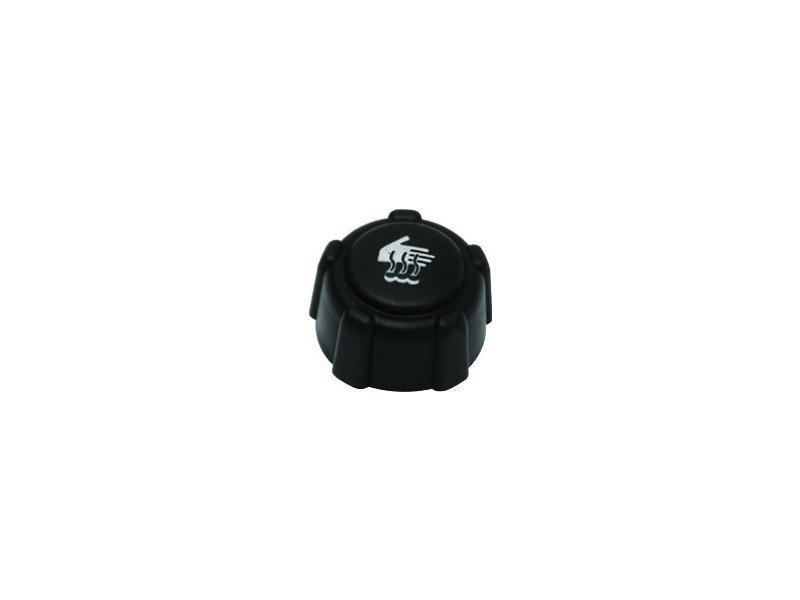 RADYATOR YEDEK SU DEPO KAPAGI CLIO III IV KANGOO MEGANE II III MEGANE II FLUENCE LATITUDE TRAFIC II - PLEKSAN - OEM 8200048024