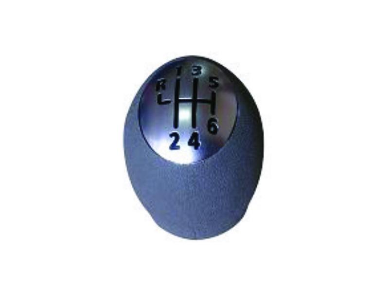 VITES TOPUZU GRI KROM BOYALI KAPAK 6 VITES KANGOO III - PLEKSAN - OEM 8200568122