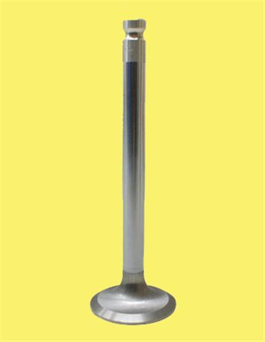 SUBAP EMME+EKSOZ (IN-4 EX-4) DUCATO SCUDO PARTNER P307 P607 P806 JUMPY III XSARA BERLINGO 2.0HDI-JTD 8V - GUNES - OEM 094996