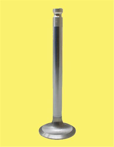 SUBAP EMME+EGZOZ DOBLO-PUNTO 1.9D-BRAVA-BRAVO MAREA 1.9TD 8V (IN-4/EX-4) - GUNES - OEM 46527855