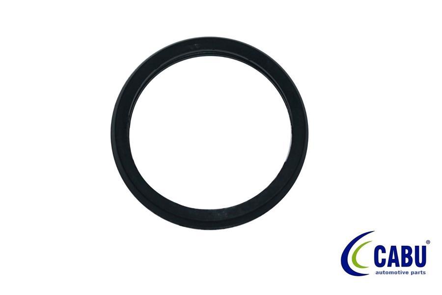 TERMOSTAT CONTASI CONNECT-TRANSIT 02-13 - CABU - OEM W703399S300