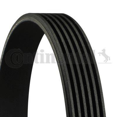 KANALLI KAYIS MERCEDES W124 W202 W203 CL203 S212 W140 W166 W463 B901>B904 / HONDA / HYUNDAI / KIA - CONTI - OEM A0029930996