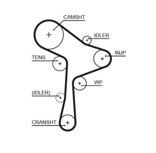 TRİGER KAYIŞI (145x25) VW GOLF VI 2.0TDI 13=> GOLF VII 1.6TDI-2.0TDI 12=> JETTA IV 2.0TDI 10=> - GATES - OEM 04L109119A