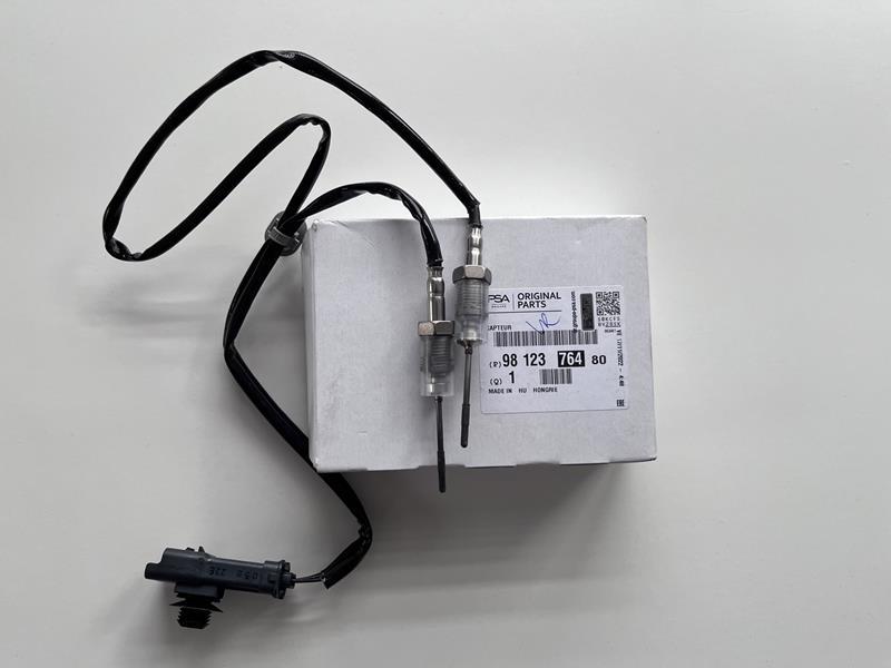 EGSOZ FAP KAPTORU PEUGEOT RIFTER 1.5HDI - PSA - OEM 9812376480