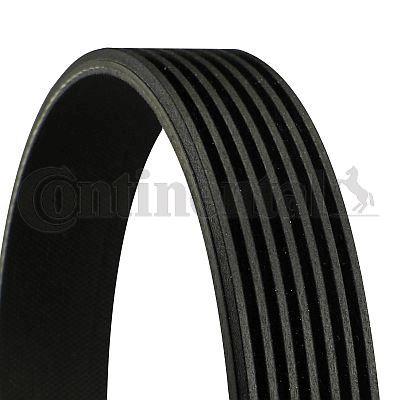 KANALLI KAYIŞ MASTER-MOVANO-LGN II G9U 2.5DCI KLİMALI - CONTI - OEM 117207944R