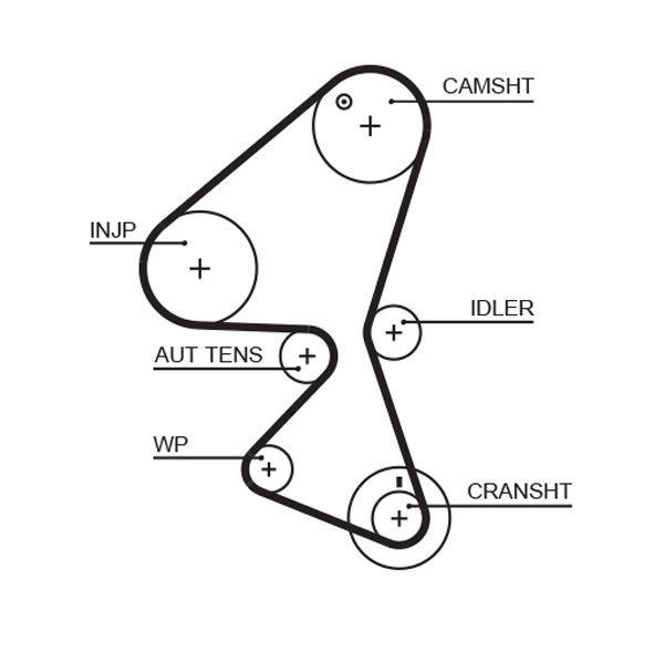 (x) TRİGER KAYIŞI (137x254) PEUGEOT PARTNER TEPE 206 207 307 308 407 1.6HDI BER C2 C3 C4 C5 JUMPY CT - GATES - OEM 0816.G7