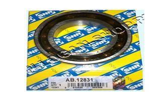 DEFRANSİYEL RULMANI KÜÇÜK R9-R11-SAXO-P106 I-II-LOGAN x - SNR - OEM 7703090436