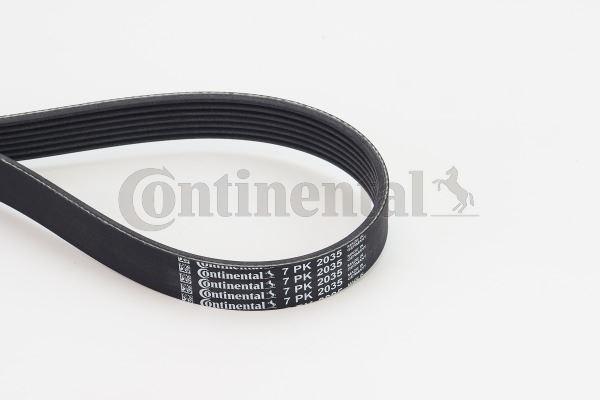 KANALLI KAYIS MERCEDES W203 W204 C218 C219 W211 W212 W164 W463 X204 W221 W639 B906 B907 B910 - CONTI - OEM A0019937596