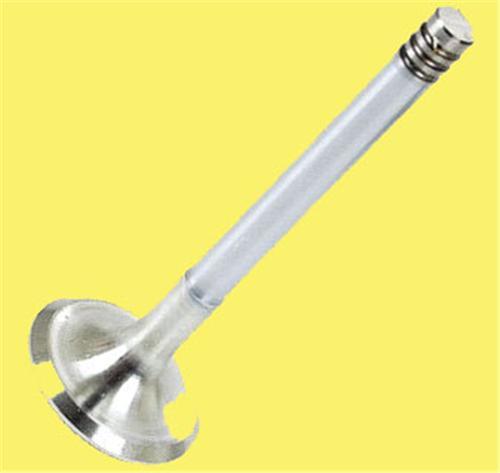SUBAP EMME+EKSOZ (IN-4 EX-4) GOLF II PASSAT 1.6 TD 8V  #### - GUNES - OEM 068109611
