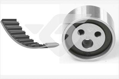 EKSANTRİK GERGİ KİTİ RENAULT CLIO I 90>98 R19 88>95 MEGANE I 96>99 (095x170) 1.2-1.4-1.6 - HUTCHINSON - OEM 7701472726