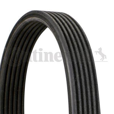 KANALLI KAYIŞ (ÇİFT KANALLI) PAS YM BORA GOLF IV-POLO (68381D) - CONTI - OEM 06A260849B