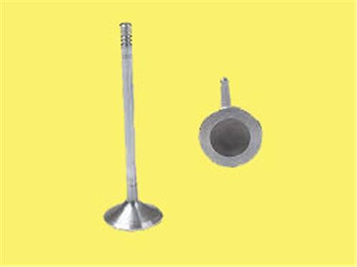 TAKIM SUBAP (16V) VOLVO S40 V70 24 25 99- B5244S 5244T - GUNES - OEM 9454610