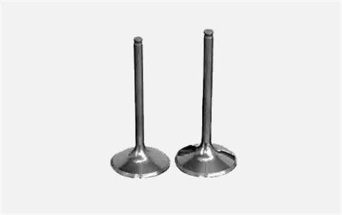 SUBAP EMME+EGZOZ MASTER-MOVANO 2.5DCI-LGN 2.2 (G9U) 16V (IN-8/EX-8) - GUNES - OEM 7701472669