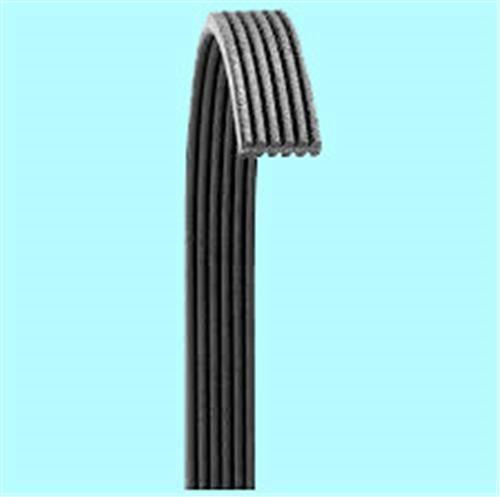 KANALLI KAYIŞ MOVANO-VIVARO-MASTER-LGN-TRAFIC - BANDO - OEM 46555974