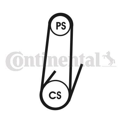 KANALLI KAYIS MONDEO III 2.0 16V 2.2 TDCI (00 07) TRANSIT 2.0 TDCI (00 06) - CONTITECH - OEM 4S7Q6C301CA