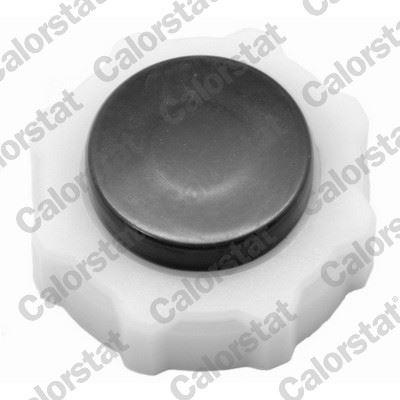GENLEŞME KAVANOZ KAPAĞI R9-FLASH-R19-R12-TOROS-MGN-CLIO-KNG-EXP-LOGAN-SOLENZA - VERNET - OEM 7700805031