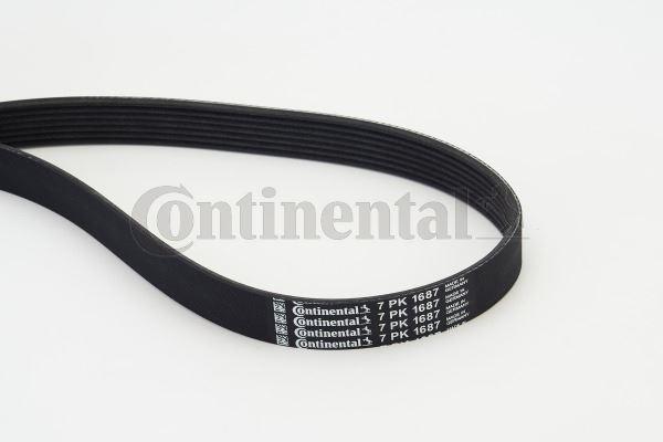 KANALLI KAYIS MOVANO-MASTER 2.3CDTI 16V 10-> - CONTITECH - OEM A6229930196