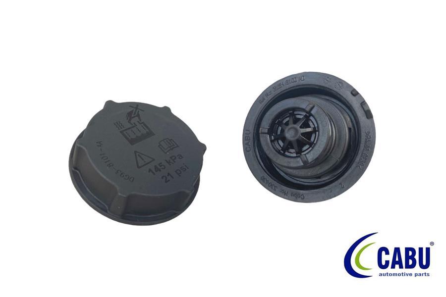 YEDEK SU DEPO KAPAGI FREELANDER 2 L359 R.R EVOQUE L538 L551 JAGUAR E-PACE (X540) FORD B-MAX C-MAX FIESTA FOCUS GALAXY KUGA MONDEO VOLVO S40 S60 S80 S90 C70 C30 - CABU - OEM DG938101AA