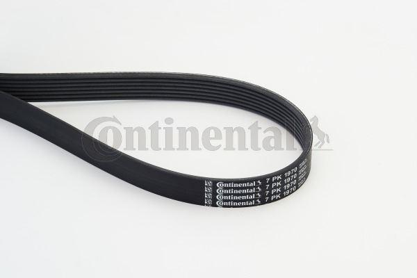 KANALLI KAYIS MERCEDES ALFA ROMEO LANCIA NISSAN OP - CONTI - OEM A0039930196