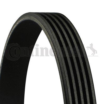 KANALLI KAYIS ALFA ROMEO 159 BRERA HONDA KIA ROVER TOYOTA MITSUBISHI PROTON - CONTITECH - OEM MD339525