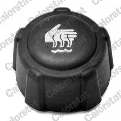 GENLESME KAVANOZ KAPAGI  KANGOO CLIO III IV MEGANE II III FLUENCE MASTER II TRAFIC LATITUDE LOGAN SANDERO - VERNET - OEM 8200048024