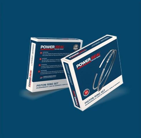 MOTOR SEGMANI SIENA 1.4-TMPR 1.4 (80.50 ÇAP) 0.40 - POWERSEAL
