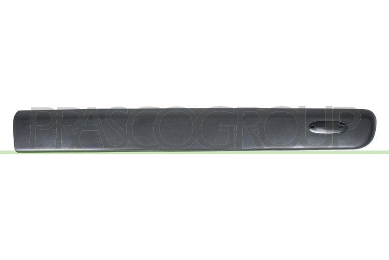 KAPI BANDI ON SAG KANGOO 03>08 - PLEKSAN - OEM 8200389343