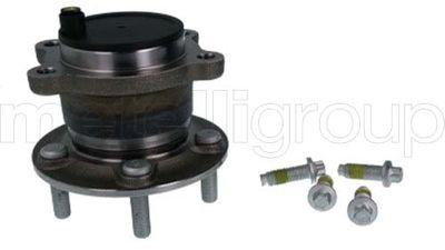 PORYA RULMANLI ARKA FORD CONNECT-KUGA 14> - CIFAM - OEM DV61