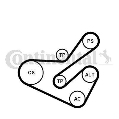 ALTERNATÖR GERGİ KİTİ (6PK1740) PEUGEOT P206-P406-PARTNER-EXPERT-CITROEN BERLINGO-JUMPY-XSARA 2.0 HDI-SCUDO 2.0 JTD (00-06) - CONTI - OEM 1613844680