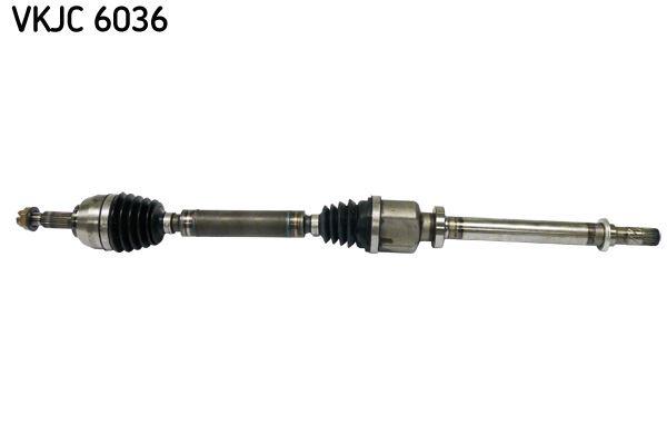 RULMAN VKJC 6036 - SKF