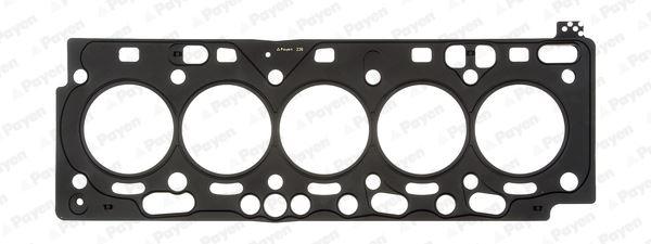 SKC 1.10 mm VOLVO S60 II-S80-V60-V70 III-XC70 II-SC60 10=> (D 5244 T10 / T14 / T16) - PAYEN - OEM 31216124