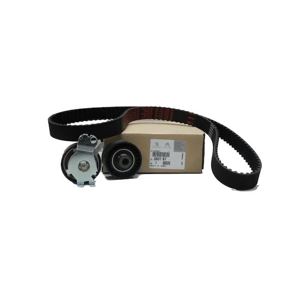 EKSANTRİK GERGİ KİTİ (101x170) P106 I-II-205-206-306 1.4-1.6-1.6i-SAXO-XSARA 1.6 (TU3FM-TU5JP) - PSA - OEM 0831.24