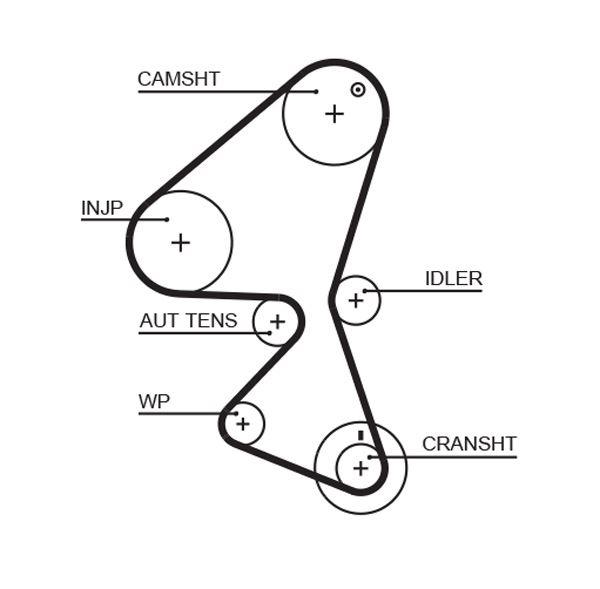 TRİGER KAYIŞI (135x254) 135 DİŞ C3 1.4 HDI 02/02=>SUZUKI LIANA 1.4 DDSİ 04=> CT1104 - GATES - OEM 0816.F7