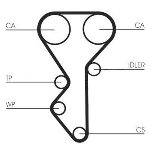 TRİGER KAYIŞI XU10J4R 136 DIS - PSA - OEM 0816.98
