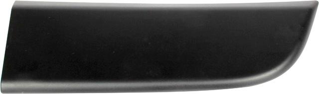 ÖN KAPI ÇEVRE BANDI SAĞ MASTER III (KAPI ÇITASI) - MY - OEM 808200149R