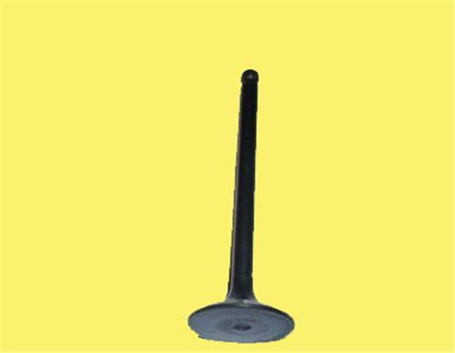 SUPAP FİAT DUCATO 2.3 MULTİJET 120 COMMON RAİL ENG.(F1AE3481D - F1AE0481N) - SUPSAN - OEM 504069199