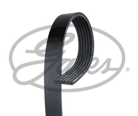 V KAYIŞ 6PK 1019 FORD FİESTA-FUSİON 02> 1.4-1.6 ZETEC (ELASTİK) - GATES - OEM 2S6E6D314AD
