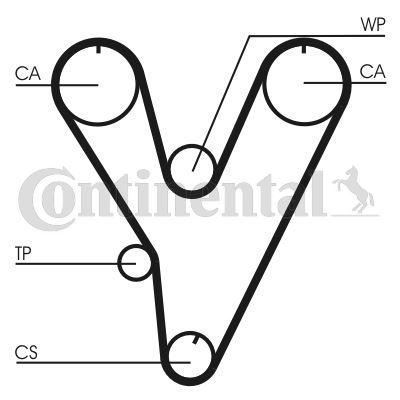 TRİGER KAYIŞI (EKSANTRİK KAYIŞI) HYUNDAI GALLOPER 3.0L G6AT 97-03 / MITSUBISHI PAJERO 3.0L 6G72 12v V23 92-96 (149x254) - CONTI - OEM 2431235000