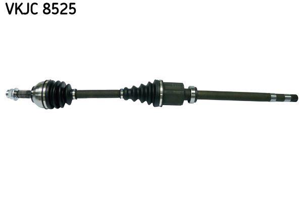 RULMAN VKJC 8525 - SKF