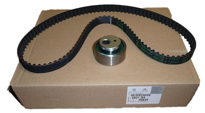EKSANTRİK GERGİ KİTİ (108x170) P106-205-206-306-307-405PARTNER-BERLINGO-XSARA-SAXO 1.4-1.4i (TU3JP) - PSA - OEM 0831.03
