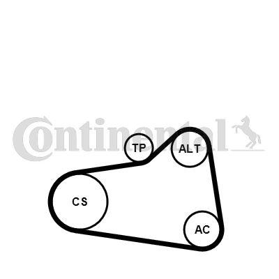 ALTERNATÖR GERGİ KİTİ P207-P208-P308-P508-RZC-P2008-P3008-P5008-PARTNER-BERLINGO-C3-C4- C5-DS3-DS4-DS5 1.4-1.6 VTI-THP EP3-EP6 - CONTI - OEM 1611279180