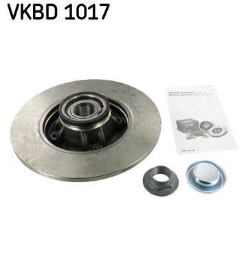 ARKA FREN AYNASI PEUGEOT P308 07>14 CITROEN C4 09>16 DS4 16>18 (249x9x4DL) (PORYALI) - SKF - OEM 4249.66