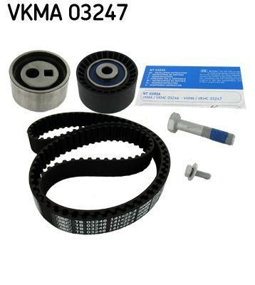 EKSANTRİK GERGİ KİTİ (141x254) P206-P306-P307-P406-EXPERT-PARTNER-BERLINGO-C5-JUMPY-XSARA 2.0 HDI SCUDO 2.0 JTD - SKF - OEM 0831.V3