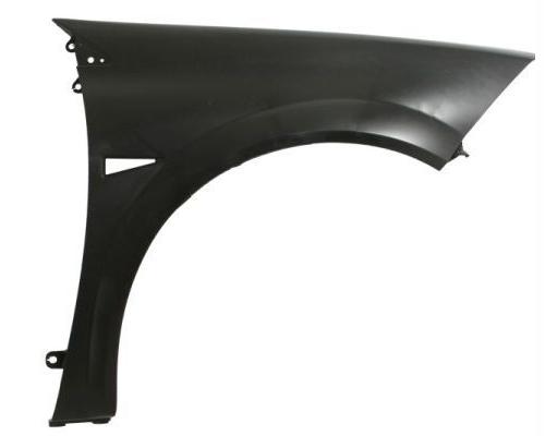ÖN ÇAMURLUK SAĞ MGN II (03-06) (ASTARSIZ) xC - MY - OEM 7701477187
