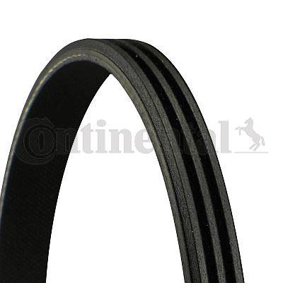 KANALLI V KAYIS RENAULT CLIO II KANGOO — CONTITECH 818408 - CONTITECH - OEM 8200041848